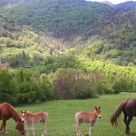 Mas Regort Vallfogona De Riucorb Exterior foto
