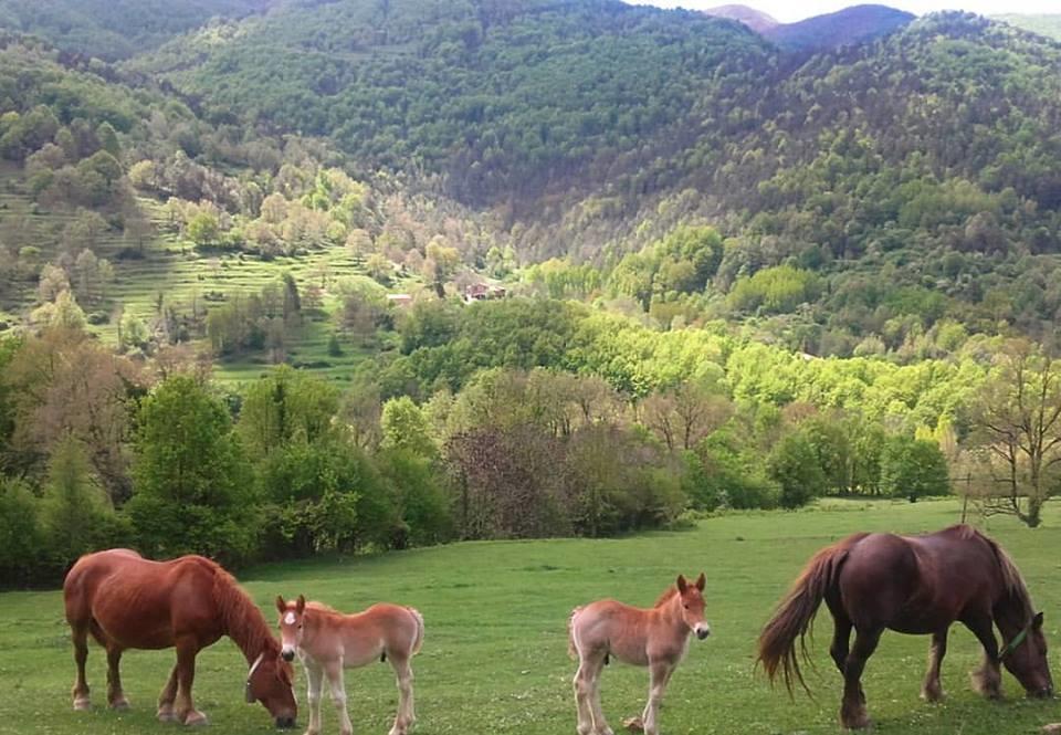 Mas Regort Vallfogona De Riucorb Exterior foto